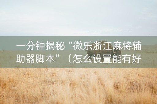 一分钟揭秘“微乐浙江麻将辅助器脚本”（怎么设置能有好牌)