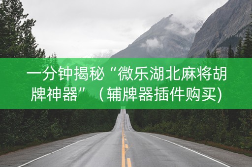 一分钟揭秘“微乐湖北麻将胡牌神器”（辅牌器插件购买)