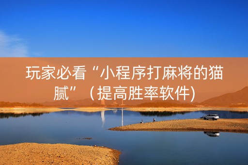 玩家必看“小程序打麻将的猫腻”（提高胜率软件)