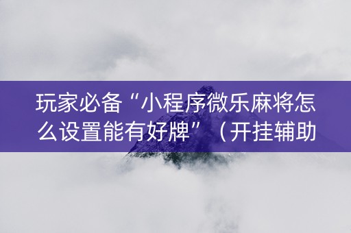 玩家必备“小程序微乐麻将怎么设置能有好牌”（开挂辅助脚本)