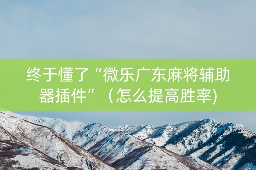 终于懂了“微乐广东麻将辅助器插件”（怎么提高胜率)