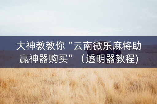 大神教教你“云南微乐麻将助赢神器购买”（透明器教程)