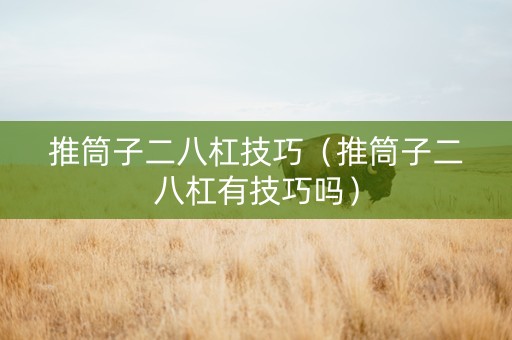 推筒子二八杠技巧（推筒子二八杠有技巧吗）
