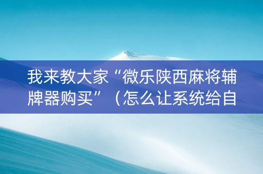 我来教大家“微乐陕西麻将辅牌器购买”（怎么让系统给自己好牌)