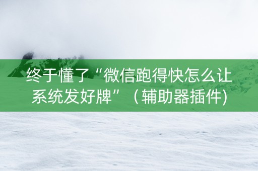 终于懂了“微信跑得快怎么让系统发好牌”（辅助器插件)