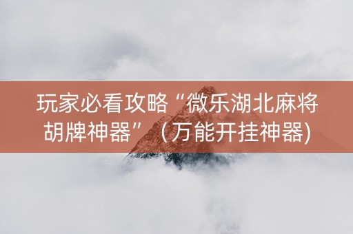 玩家必看攻略“微乐湖北麻将胡牌神器”（万能开挂神器)
