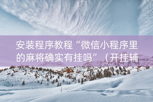 安装程序教程“微信小程序里的麻将确实有挂吗”（开挂辅助插件)