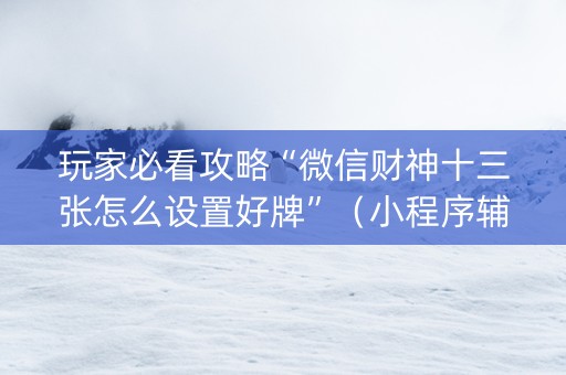 玩家必看攻略“微信财神十三张怎么设置好牌”（小程序辅助软件)