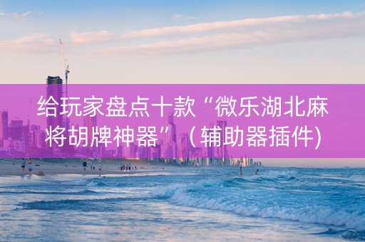 给玩家盘点十款“微乐湖北麻将胡牌神器”（辅助器插件)