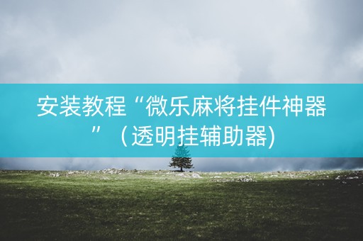 安装教程“微乐麻将挂件神器”（透明挂辅助器)
