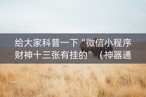 给大家科普一下“微信小程序财神十三张有挂的”（神器通用版)