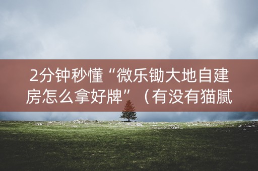 2分钟秒懂“微乐锄大地自建房怎么拿好牌”（有没有猫腻)