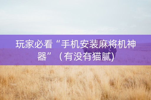 玩家必看“手机安装麻将机神器”（有没有猫腻)