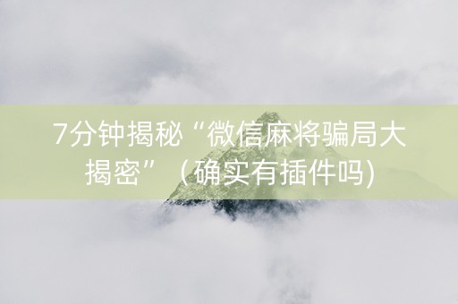 7分钟揭秘“微信麻将骗局大揭密”（确实有插件吗)