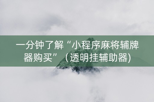 一分钟了解“小程序麻将辅牌器购买”（透明挂辅助器)