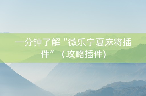 一分钟了解“微乐宁夏麻将插件”（攻略插件)