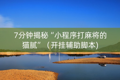 7分钟揭秘“小程序打麻将的猫腻”（开挂辅助脚本)