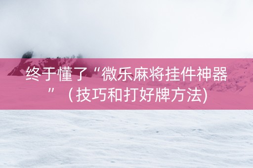终于懂了“微乐麻将挂件神器”（技巧和打好牌方法)