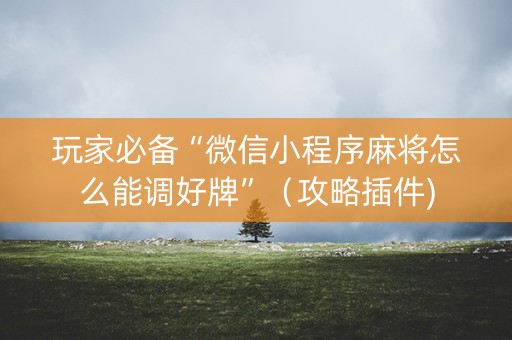 玩家必备“微信小程序麻将怎么能调好牌”（攻略插件)