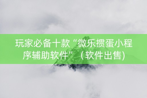 玩家必备十款“微乐掼蛋小程序辅助软件”（软件出售)