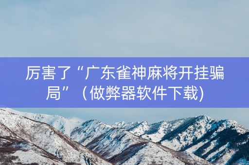 厉害了“广东雀神麻将开挂骗局”（做弊器软件下载)