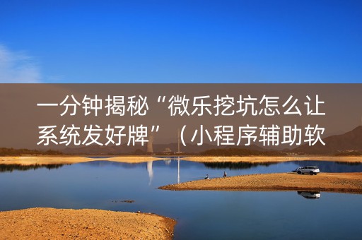 一分钟揭秘“微乐挖坑怎么让系统发好牌”（小程序辅助软件)