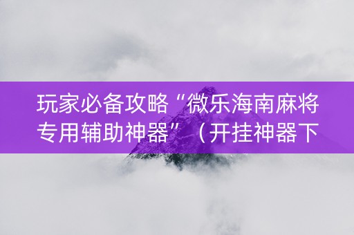 玩家必备攻略“微乐海南麻将专用辅助神器”（开挂神器下载)
