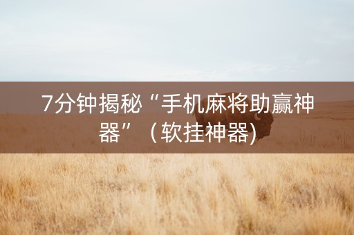7分钟揭秘“手机麻将助赢神器”（软挂神器)