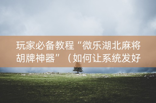 玩家必备教程“微乐湖北麻将胡牌神器”（如何让系统发好牌)