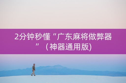 2分钟秒懂“广东麻将做弊器”（神器通用版)