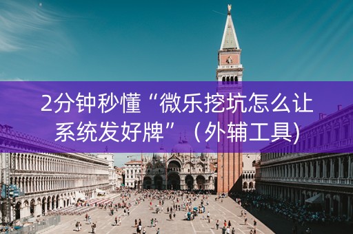 2分钟秒懂“微乐挖坑怎么让系统发好牌”（外辅工具)