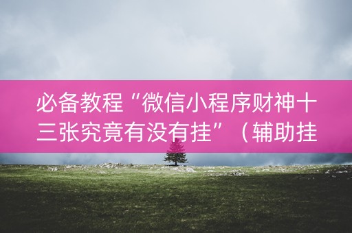 必备教程“微信小程序财神十三张究竟有没有挂”（辅助挂发牌规律)