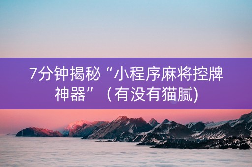 7分钟揭秘“小程序麻将控牌神器”（有没有猫腻)