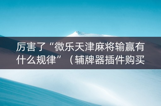 厉害了“微乐天津麻将输赢有什么规律”（辅牌器插件购买)