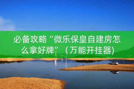 必备攻略“微乐保皇自建房怎么拿好牌”（万能开挂器)