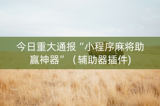 今日重大通报“小程序麻将助赢神器”（辅助器插件)