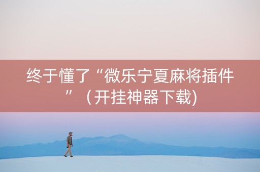 终于懂了“微乐宁夏麻将插件”（开挂神器下载)