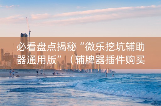 必看盘点揭秘“微乐挖坑辅助器通用版”（辅牌器插件购买)