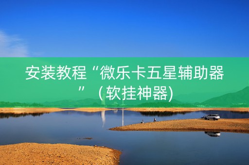 安装教程“微乐卡五星辅助器”（软挂神器)
