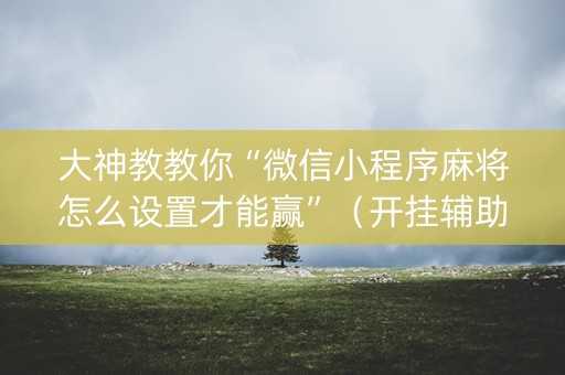 大神教教你“微信小程序麻将怎么设置才能赢”（开挂辅助器脚本)