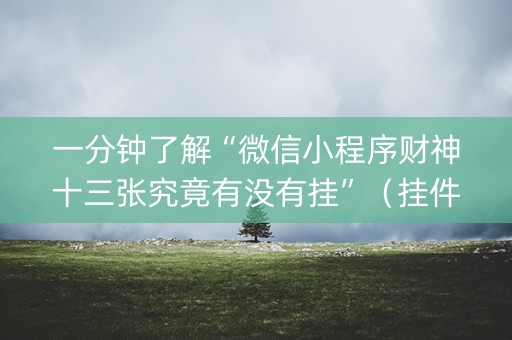 一分钟了解“微信小程序财神十三张究竟有没有挂”（挂件神器)