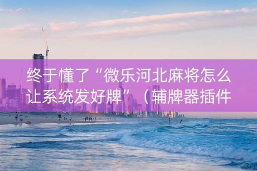终于懂了“微乐河北麻将怎么让系统发好牌”（辅牌器插件购买)