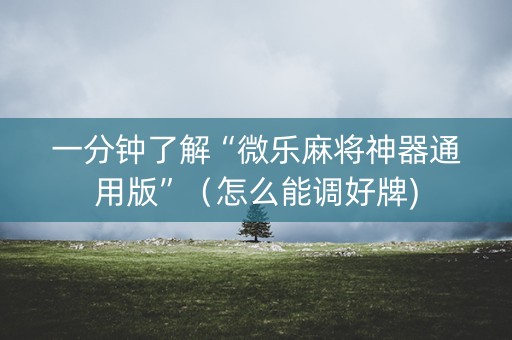 一分钟了解“微乐麻将神器通用版”（怎么能调好牌)