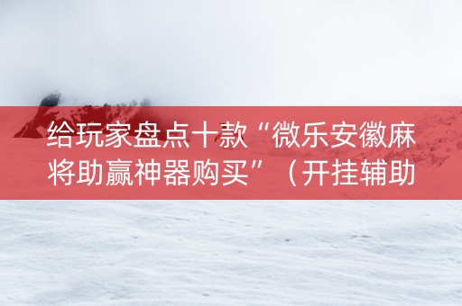 给玩家盘点十款“微乐安徽麻将助赢神器购买”（开挂辅助脚本)