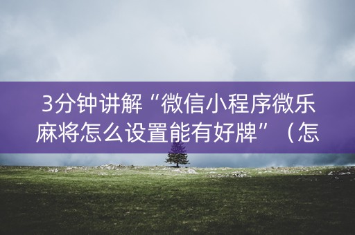 3分钟讲解“微信小程序微乐麻将怎么设置能有好牌”（怎么调胜率)