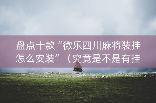 盘点十款“微乐四川麻将装挂怎么安装”（究竟是不是有挂)