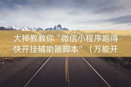 大神教教你“微信小程序跑得快开挂辅助器脚本”（万能开挂神器)