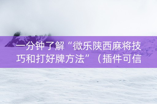 一分钟了解“微乐陕西麻将技巧和打好牌方法”（插件可信吗)