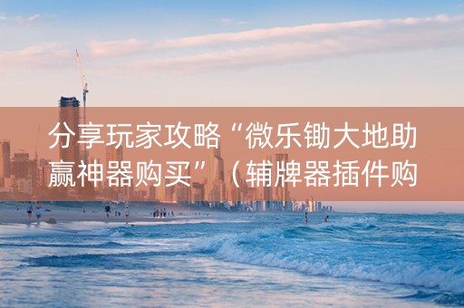 分享玩家攻略“微乐锄大地助赢神器购买”（辅牌器插件购买)