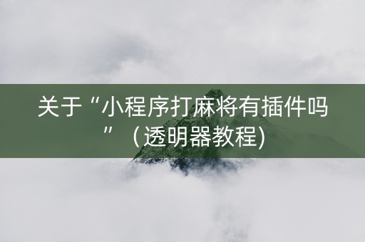 关于“小程序打麻将有插件吗”（透明器教程)